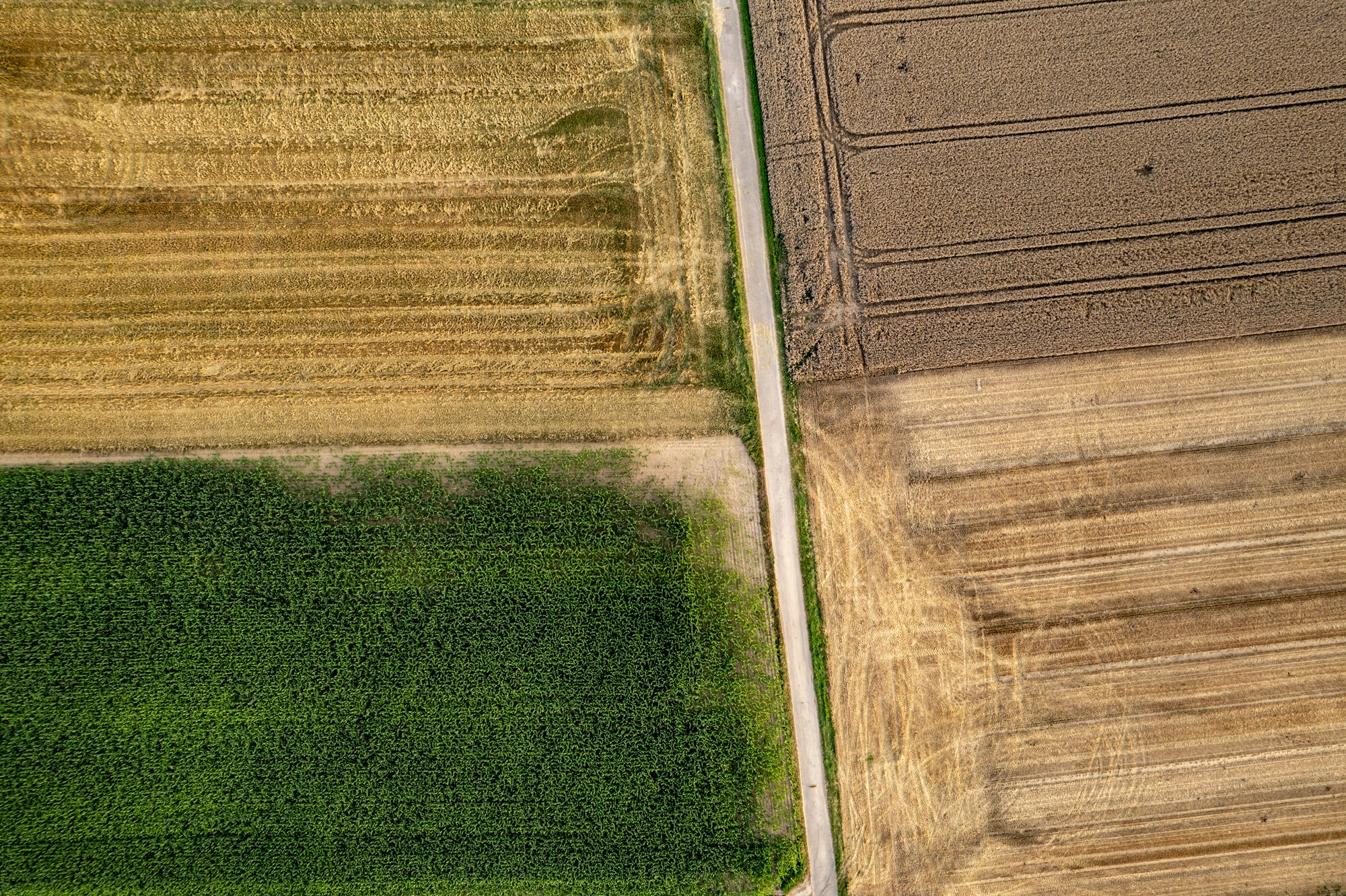 Landwirtschaftliche Flächen aus der Vogelperspektive, unterteilt durch einen Feldweg